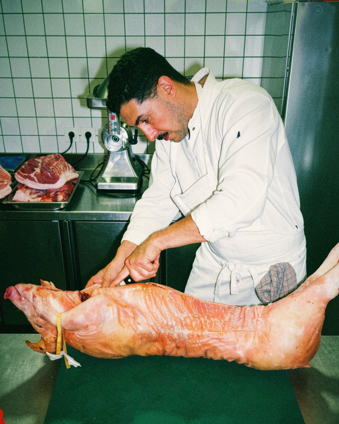 Cochon Iodé sur Instagram