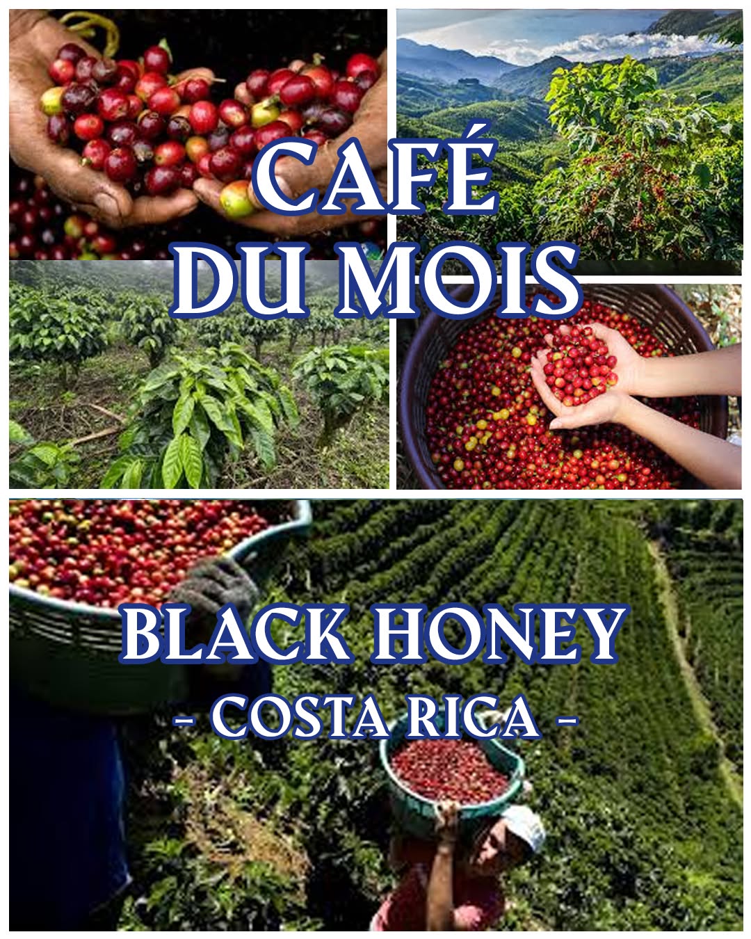 Nuage café sur Instagram