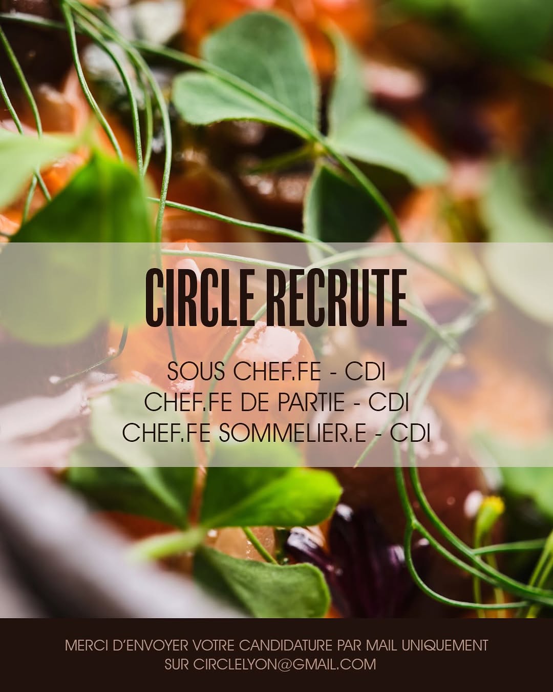 Circle sur Instagram