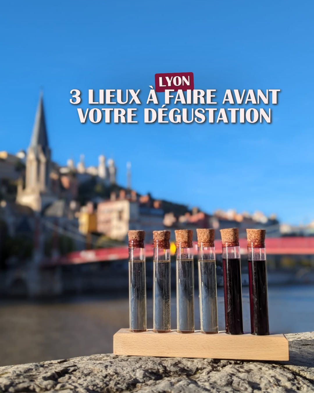Les Petits Crus Lyon sur Instagram