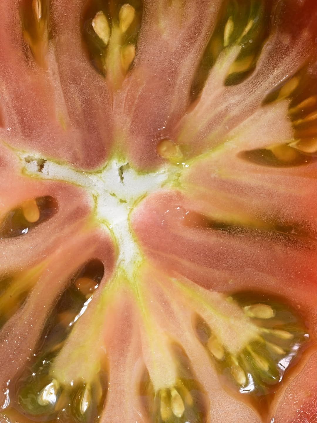 L'Établi sur Instagram