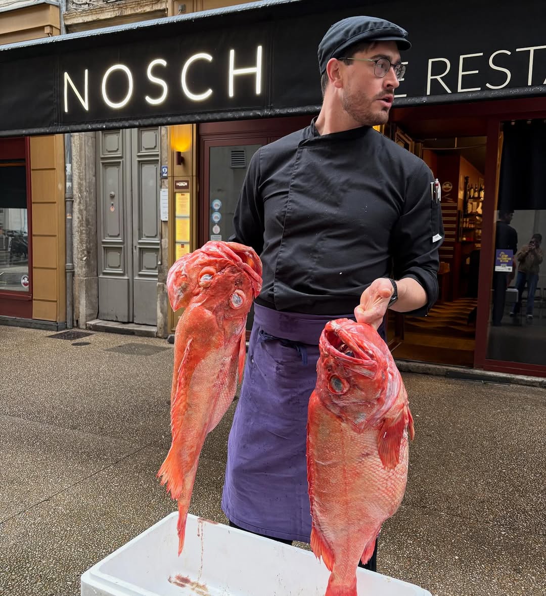 Nosch sur Instagram