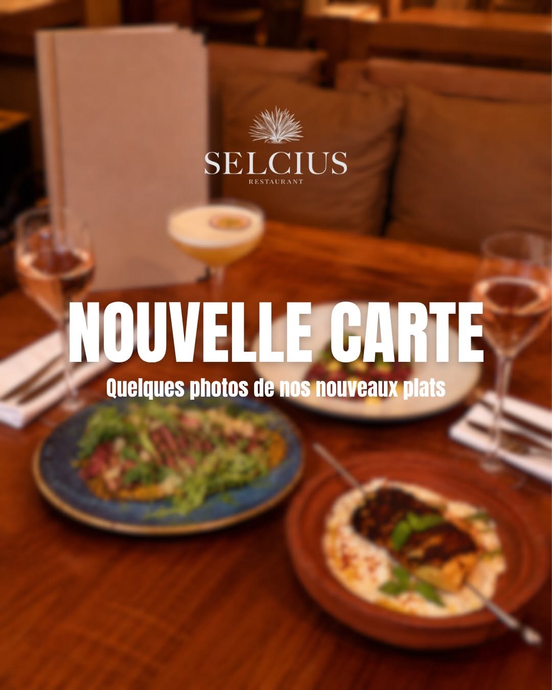 Selcius sur Instagram