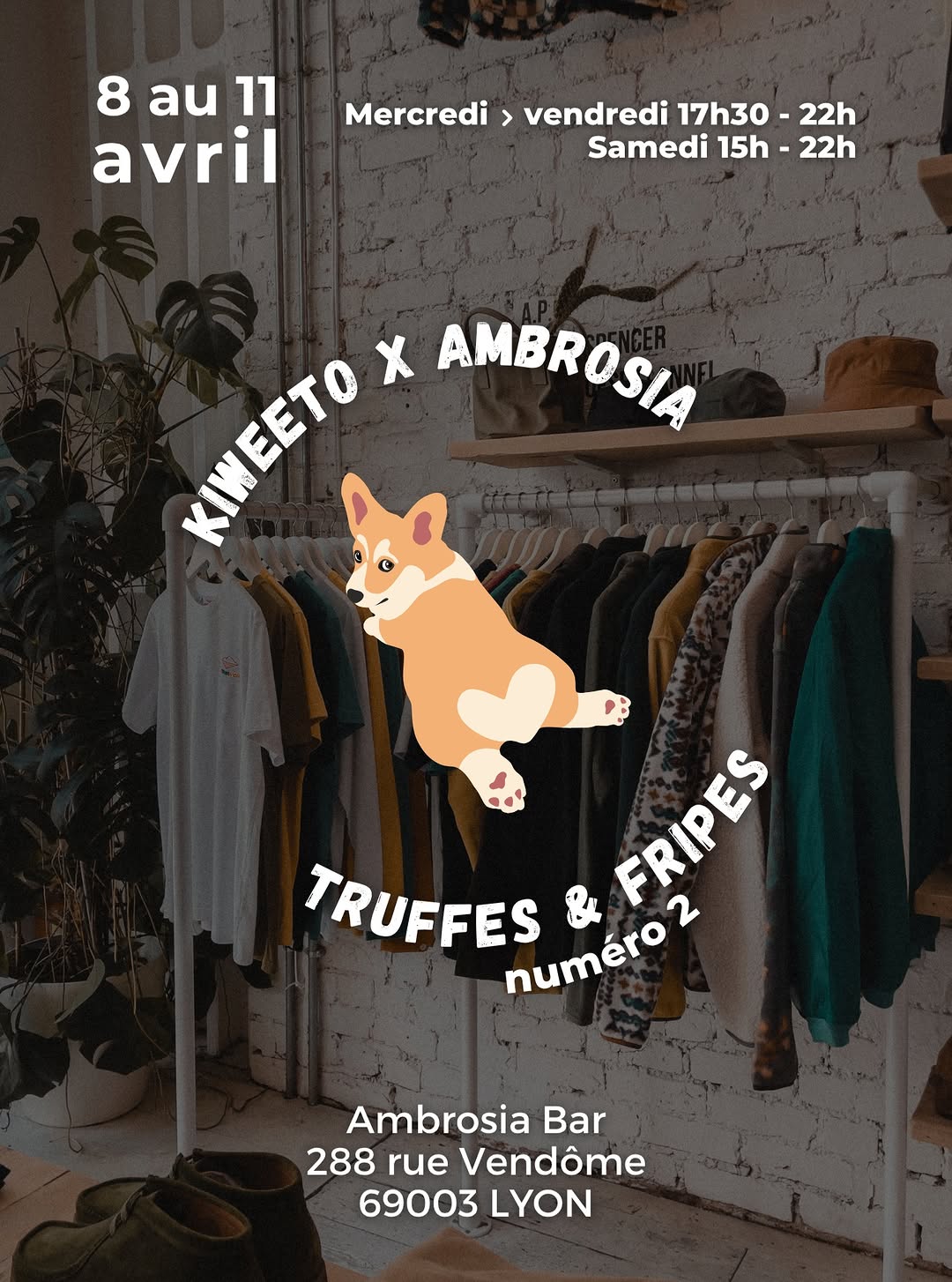 Ambrosia sur Instagram