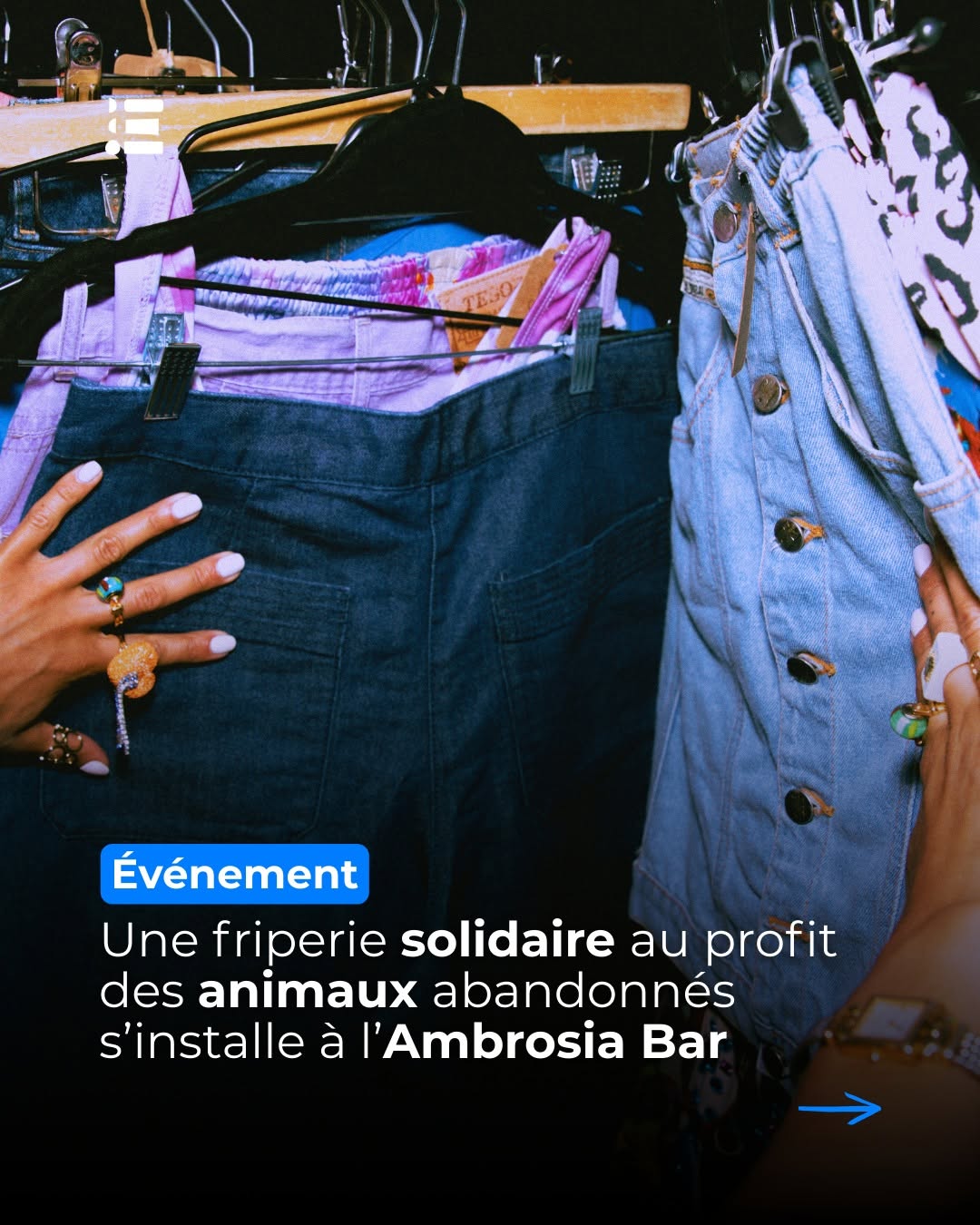 Ambrosia sur Instagram